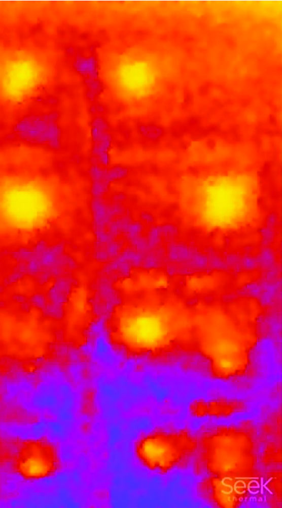 Pallets of hives in wintering shed, SEEK THERMAL COMPACT, 32,136 Radiometric Pixels