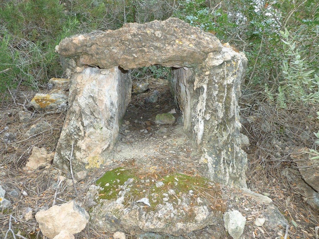 Ibiza3