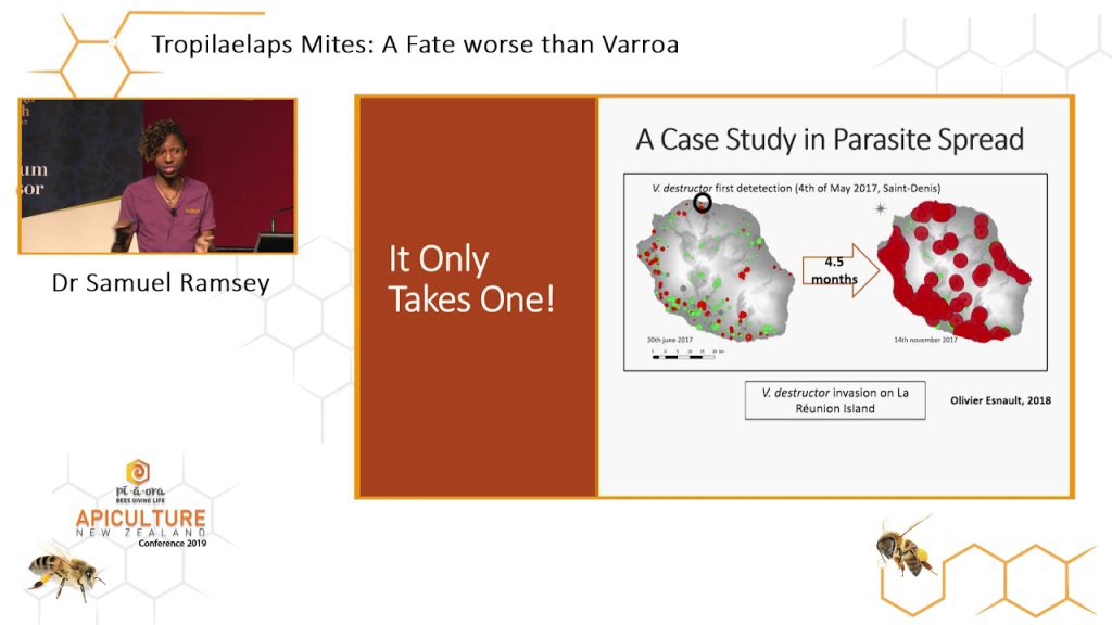 It’s Worse Than You Think Bee Culture