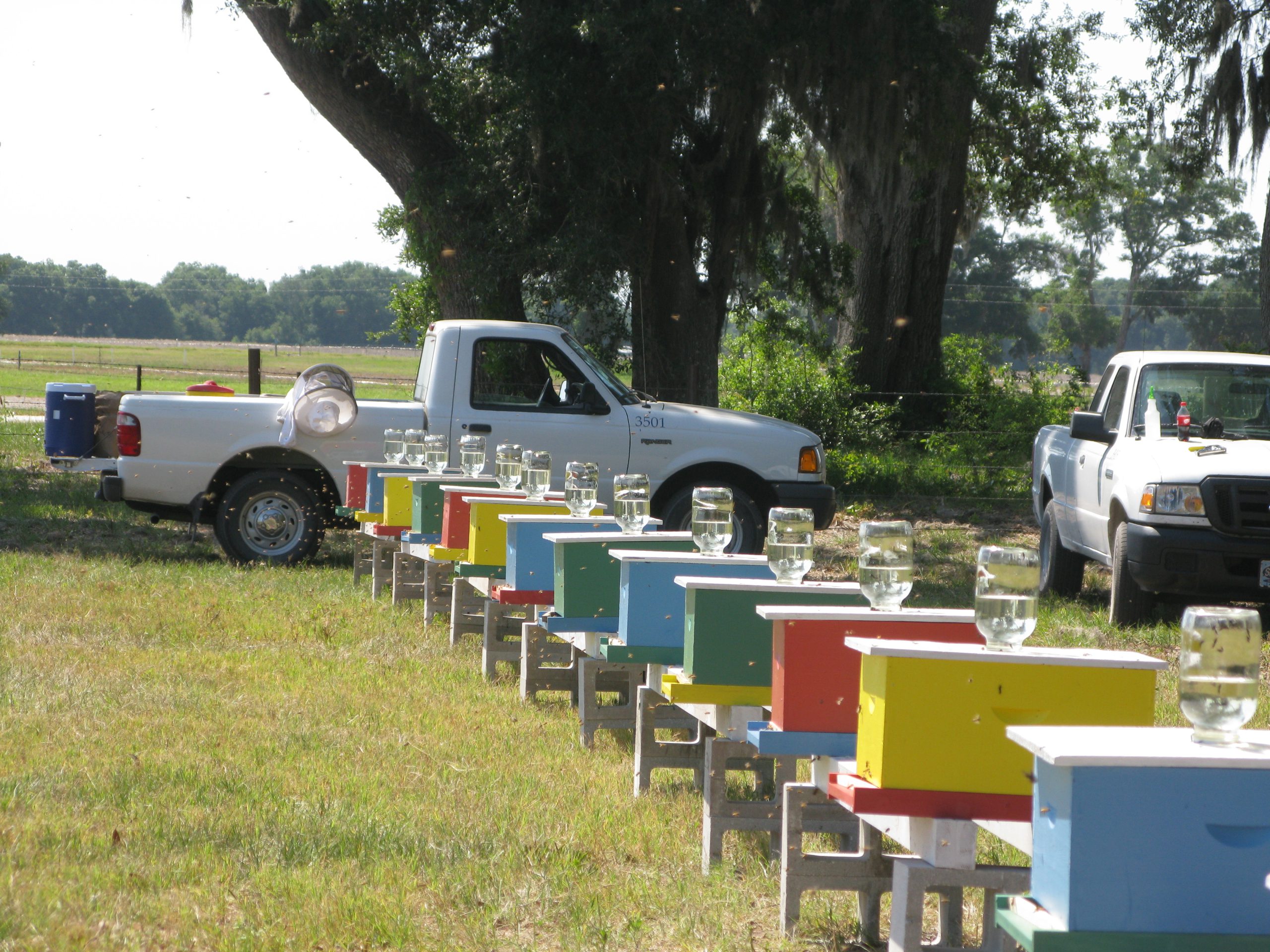 Figure 9. Colonies set up for a field study. Photo credit: UF/IFAS HBREL