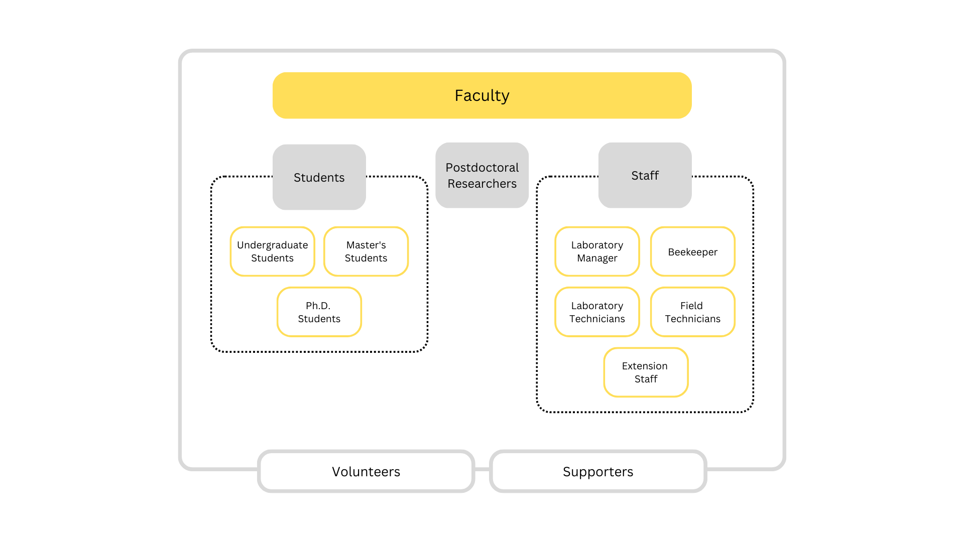 Figure 3. Overview of a typical honey bee laboratory structure. Faculty manage various types of students, postdoctoral researchers and staff.