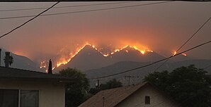 “Examples of some effects of climate change: Wildfire intensified by heat and drought, bleaching of corals occurring more often due to marine heatwaves, and worsening droughts compromising water supplies. Source: Wikipedia.”