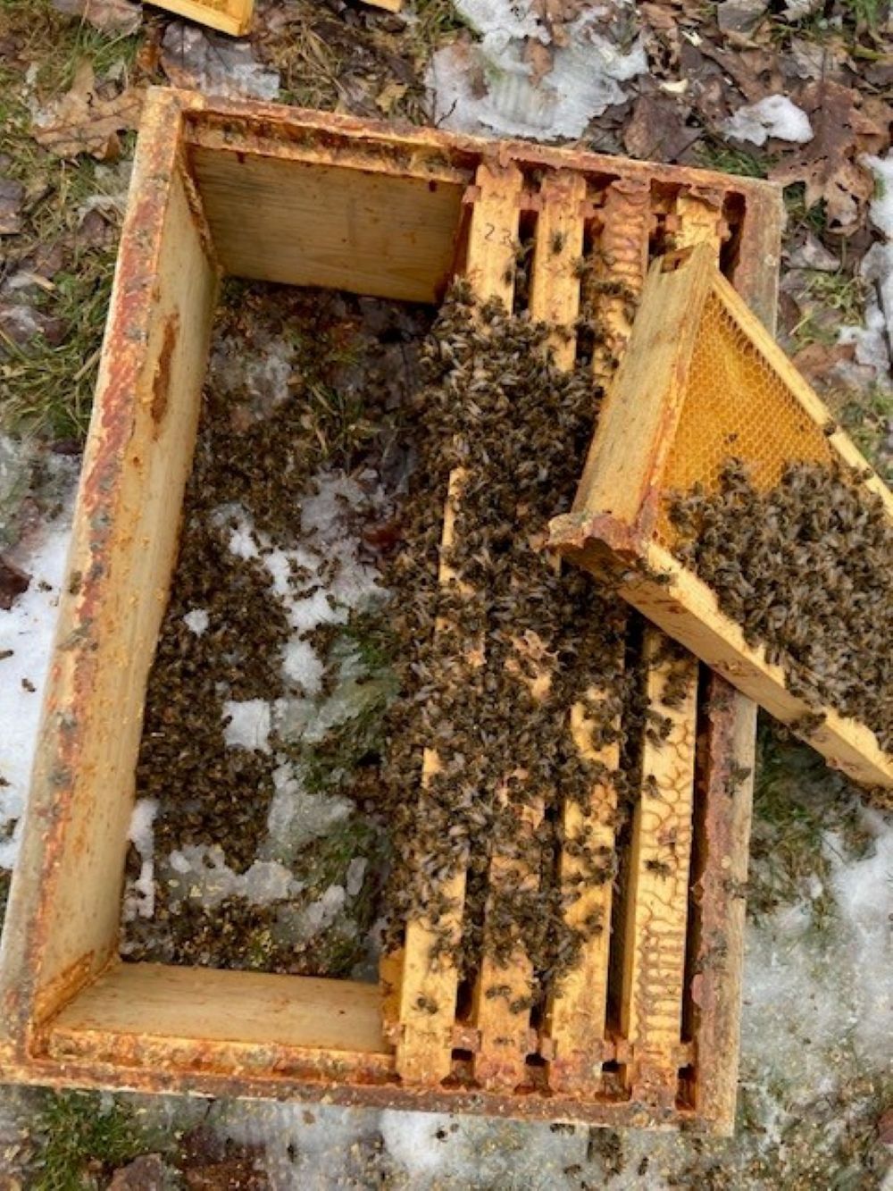 How many factors play a role in hive loss?