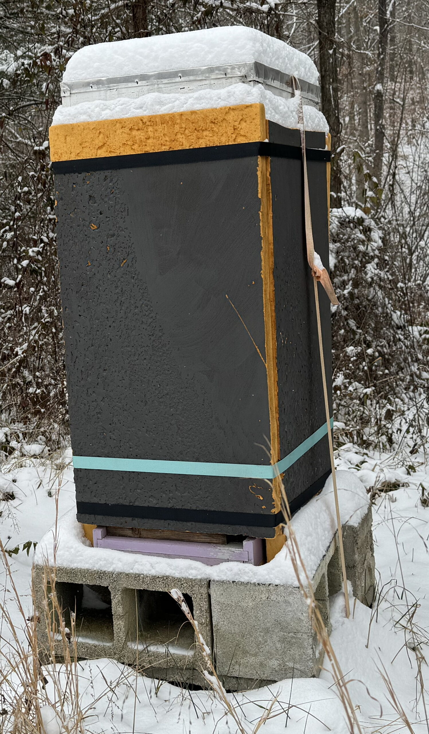 Figure 2: I heavily insulate all my colonies in Autumn to improve overwinter survival and reduce cold stress. Photo Credit: Theresa J. Martin