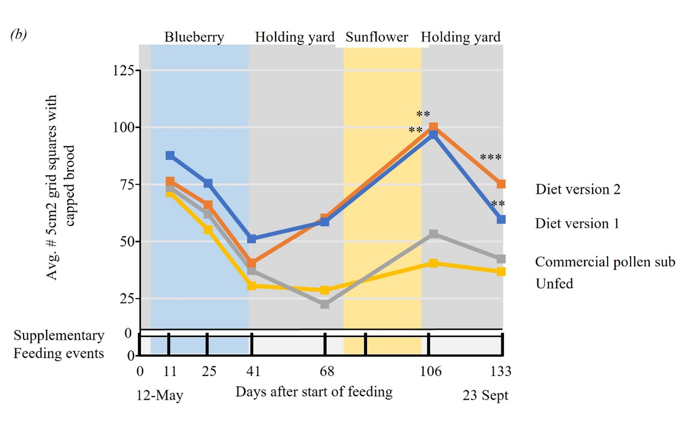 Figure 3: Colonies on diets 1 & 2 had significantly larger populations (measured in frames of bees) and brood coverage compared to those fed commercial diets or no feed. A seasonal decline in brood was observed across all treatments, reflecting natural bee growth cycles by the Fall months.2