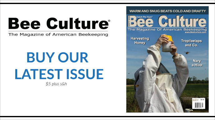 Buy our latest issue