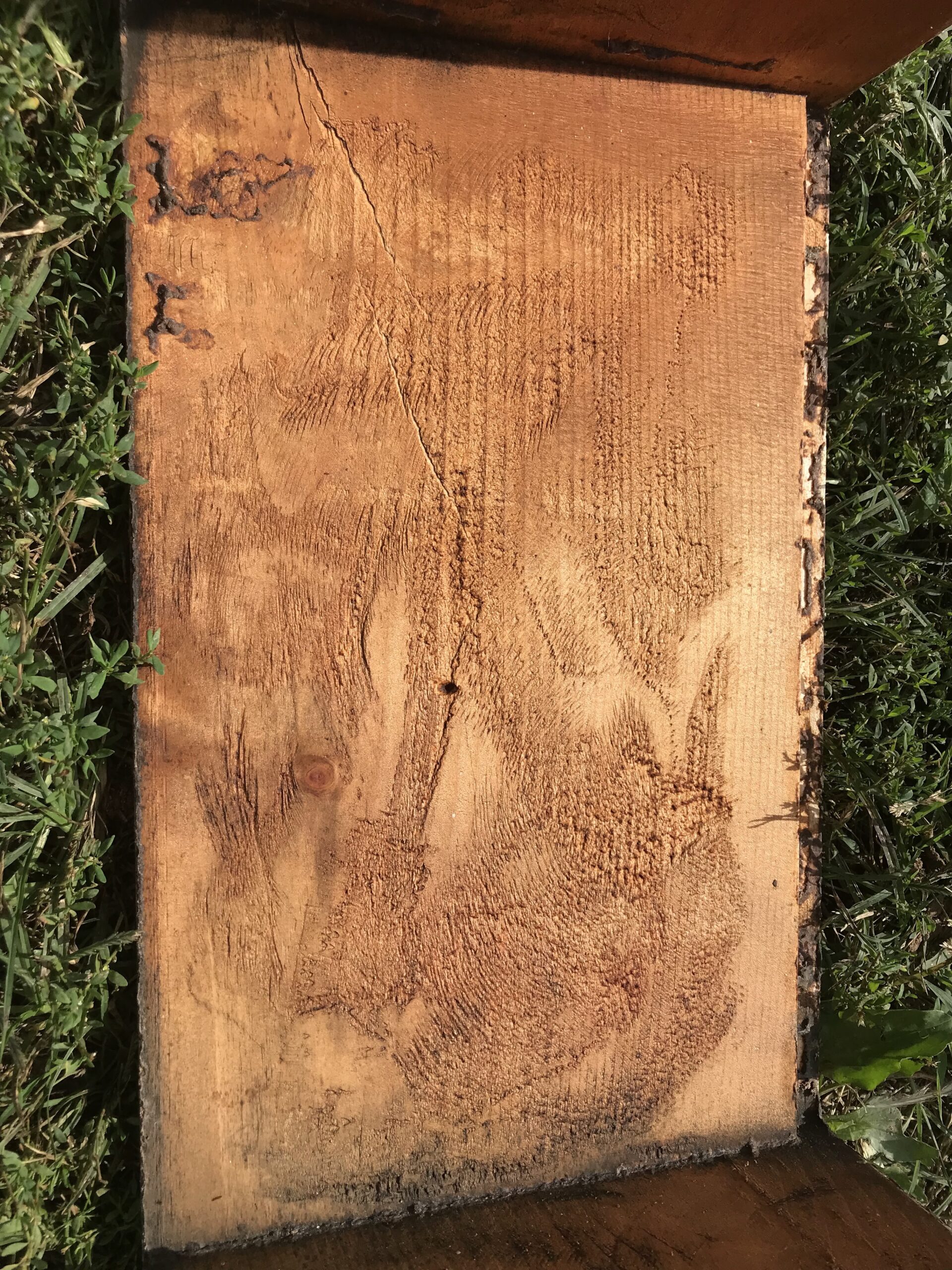 Figure 8: This is one of my roughened-up hive bodies. The bees smoothed out the interior with propolis. The right edge has no propolis because I missed roughening up that spot. Photo Credit: Theresa Martin