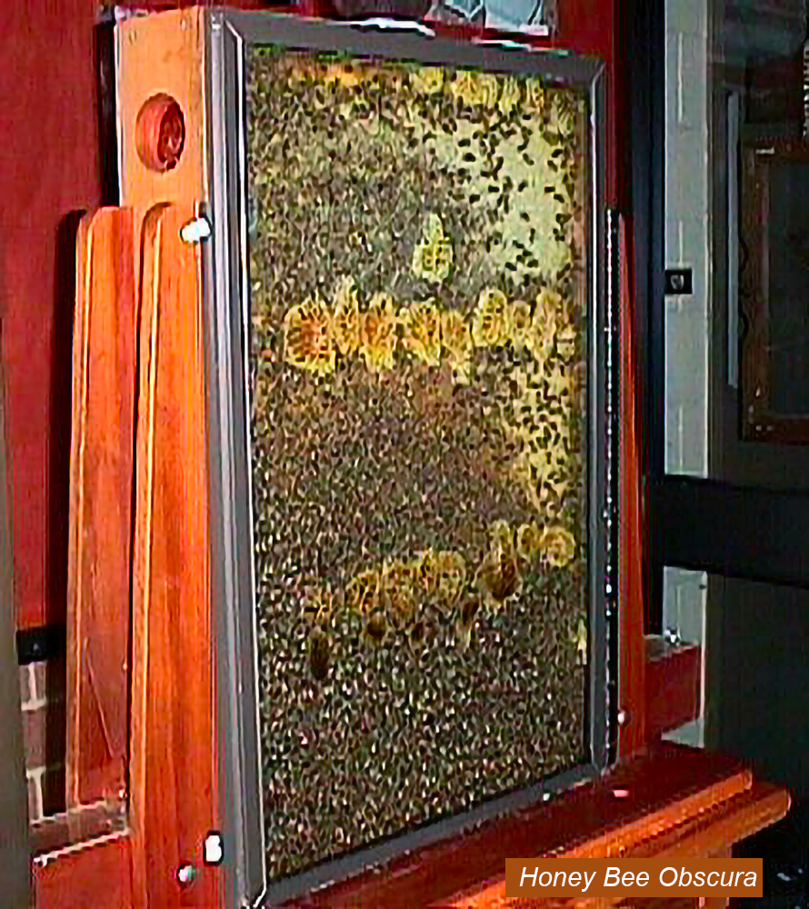 Figure 4 My nine deep frame observation hive. I learn a lot from this unit.