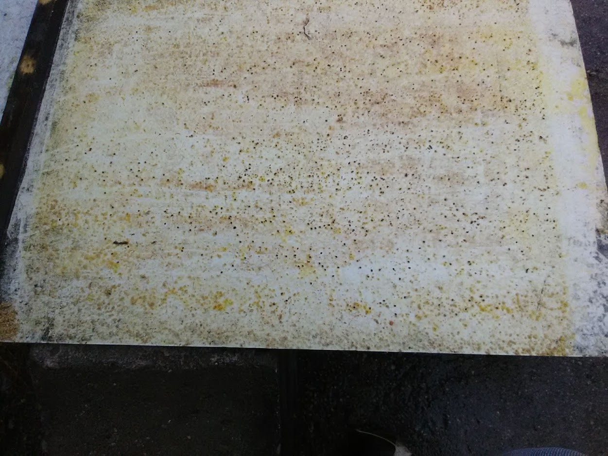 Each small brown dot is a mite fallen to the screened bottom board after a mite treatment. Photo Credit: Richard Wahl.