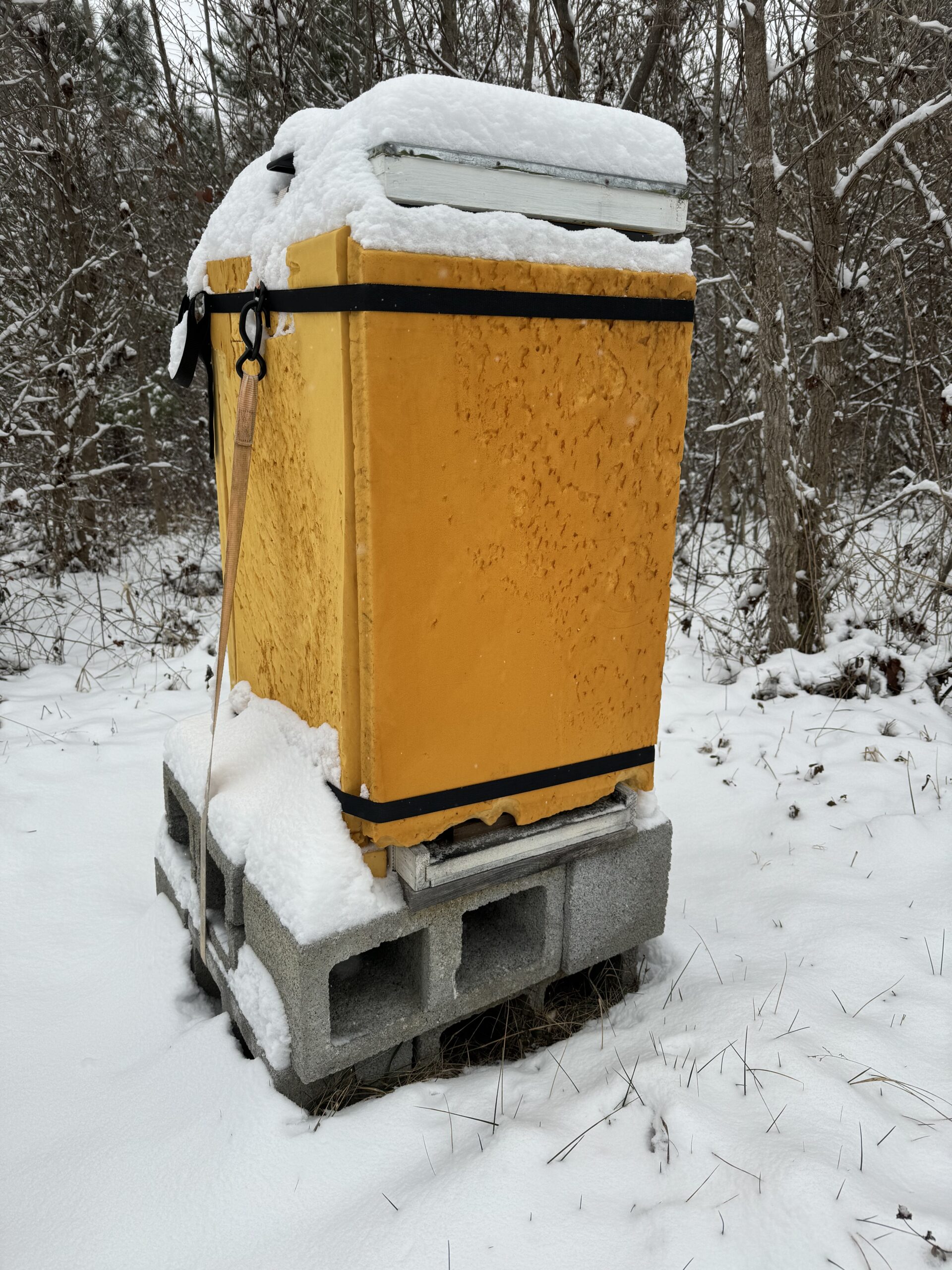 Figure 3. While winterizing takes time, it contributes to overwinter survival, is less expensive and time consuming than replacing dead colonies. In addition, it enables colonies to greet Spring less cold stressed and more ready to work. Photo Credit: Theresa Martin