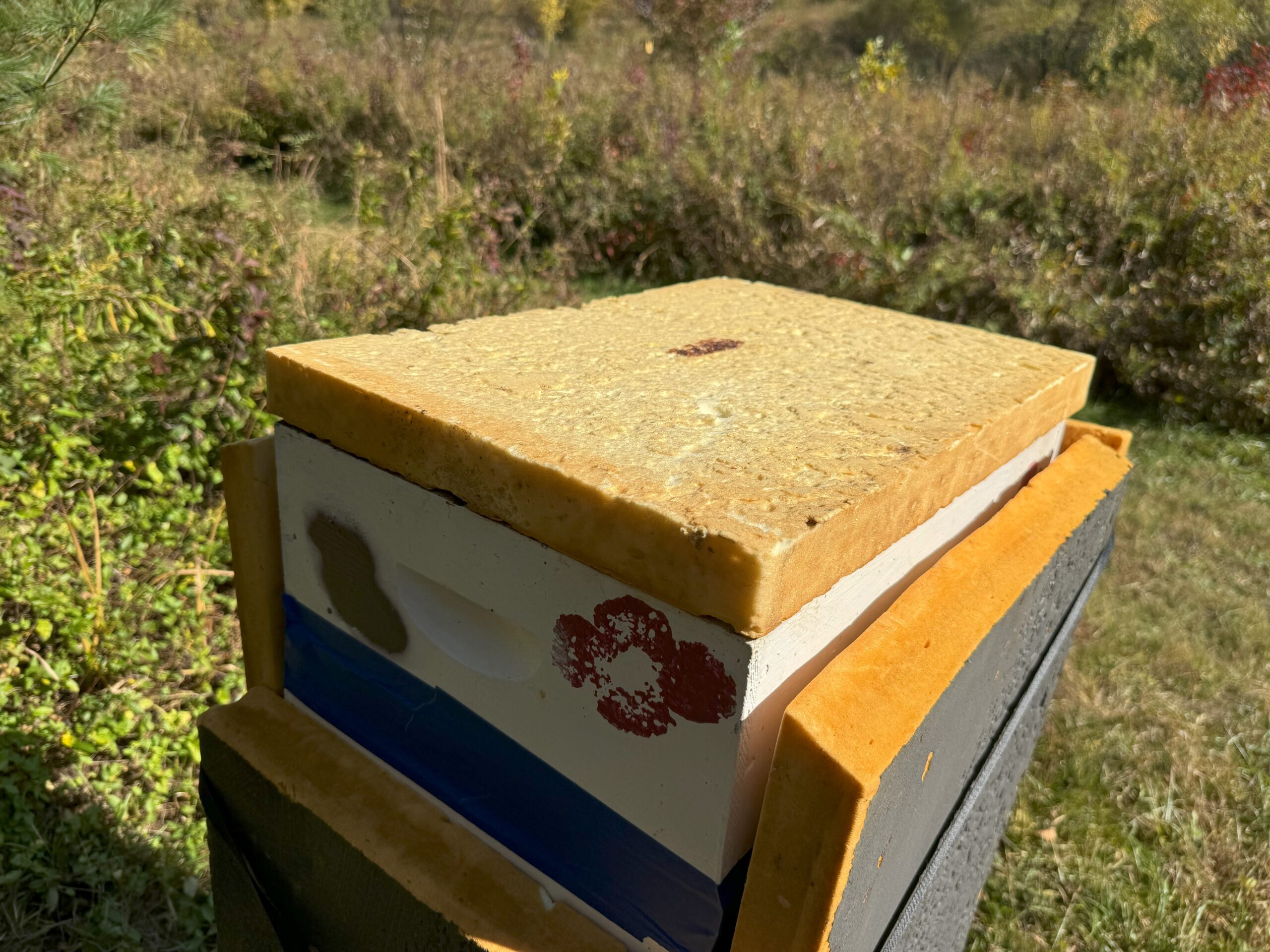 Figure 4. The most important area to insulate is the top of the hive. I have 2.5” of foam insulation under the telescoping cover. Photo Credit: Theresa Martin