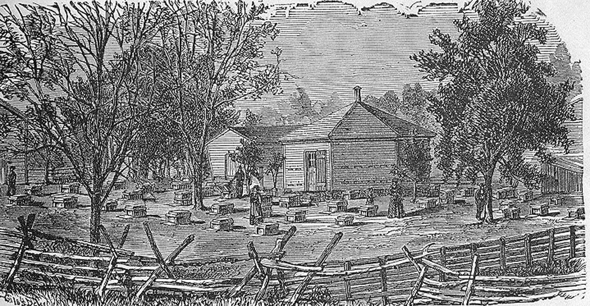 Figure 1 An octagonal bee house in Seville, Ohio circa 1870².