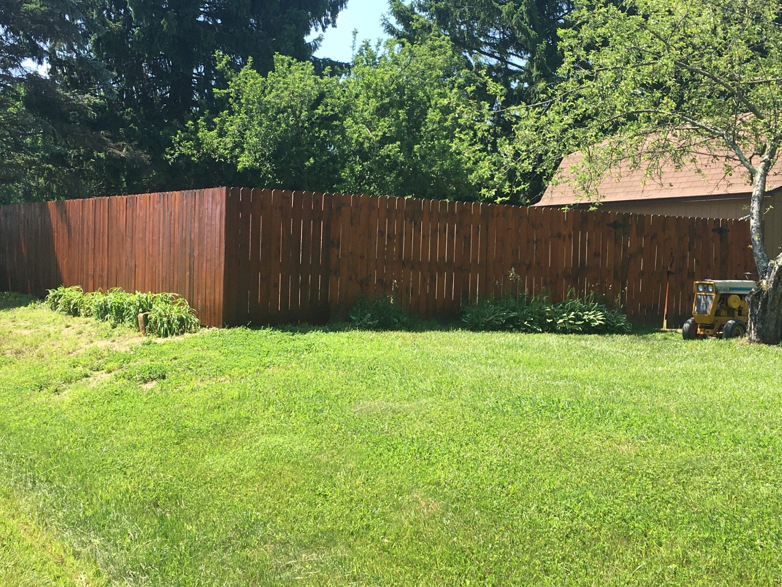 Figure 2 I hide my home apiary behind this stockade fence. I like the privacy.
