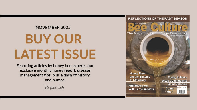 Buy our latest issue