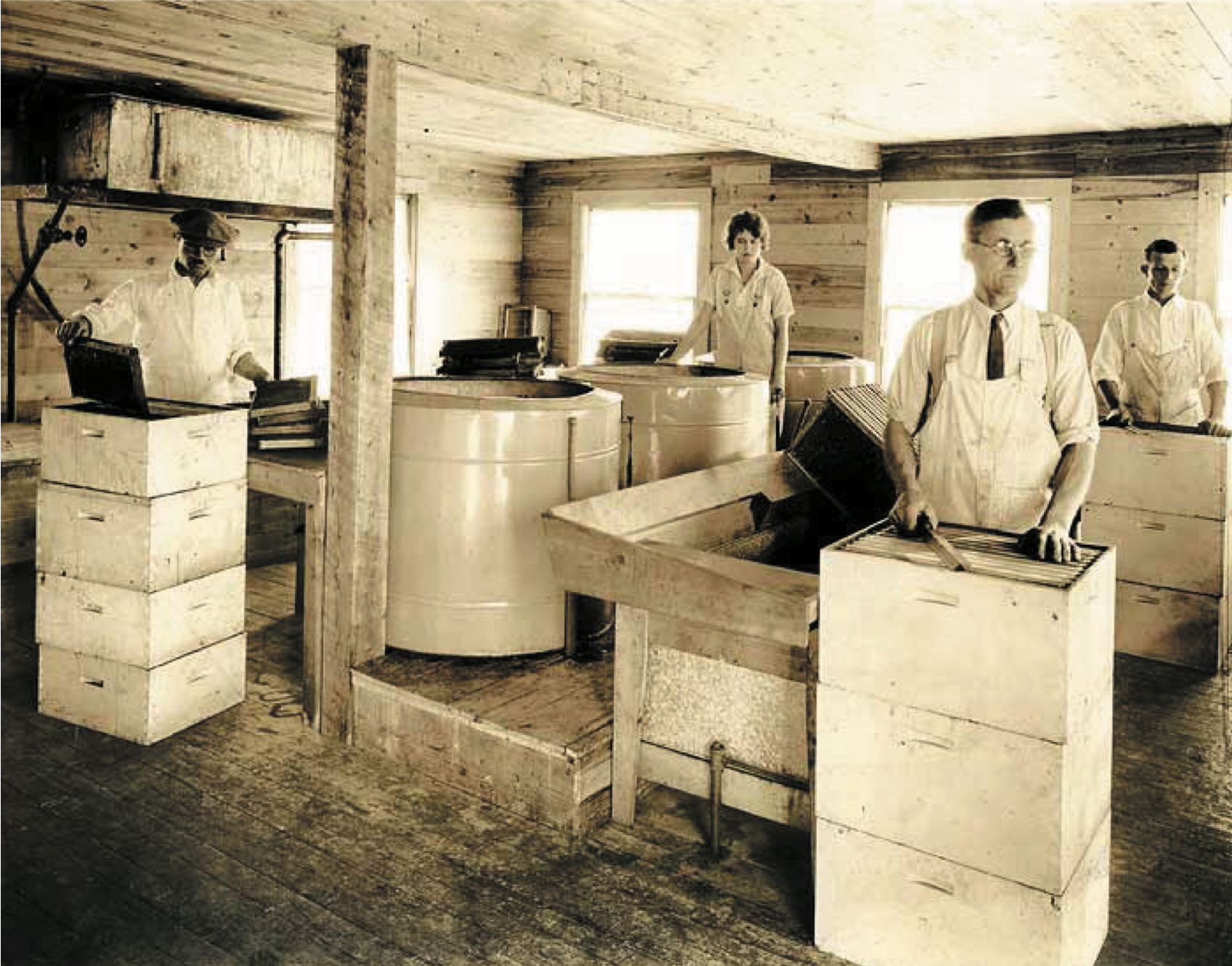 Extracting in the new honey house, 1924
Photo credit: hofmannapiaries.org