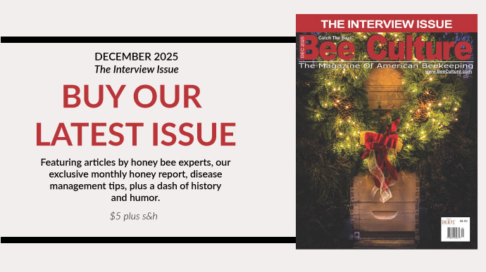 Buy our latest issue