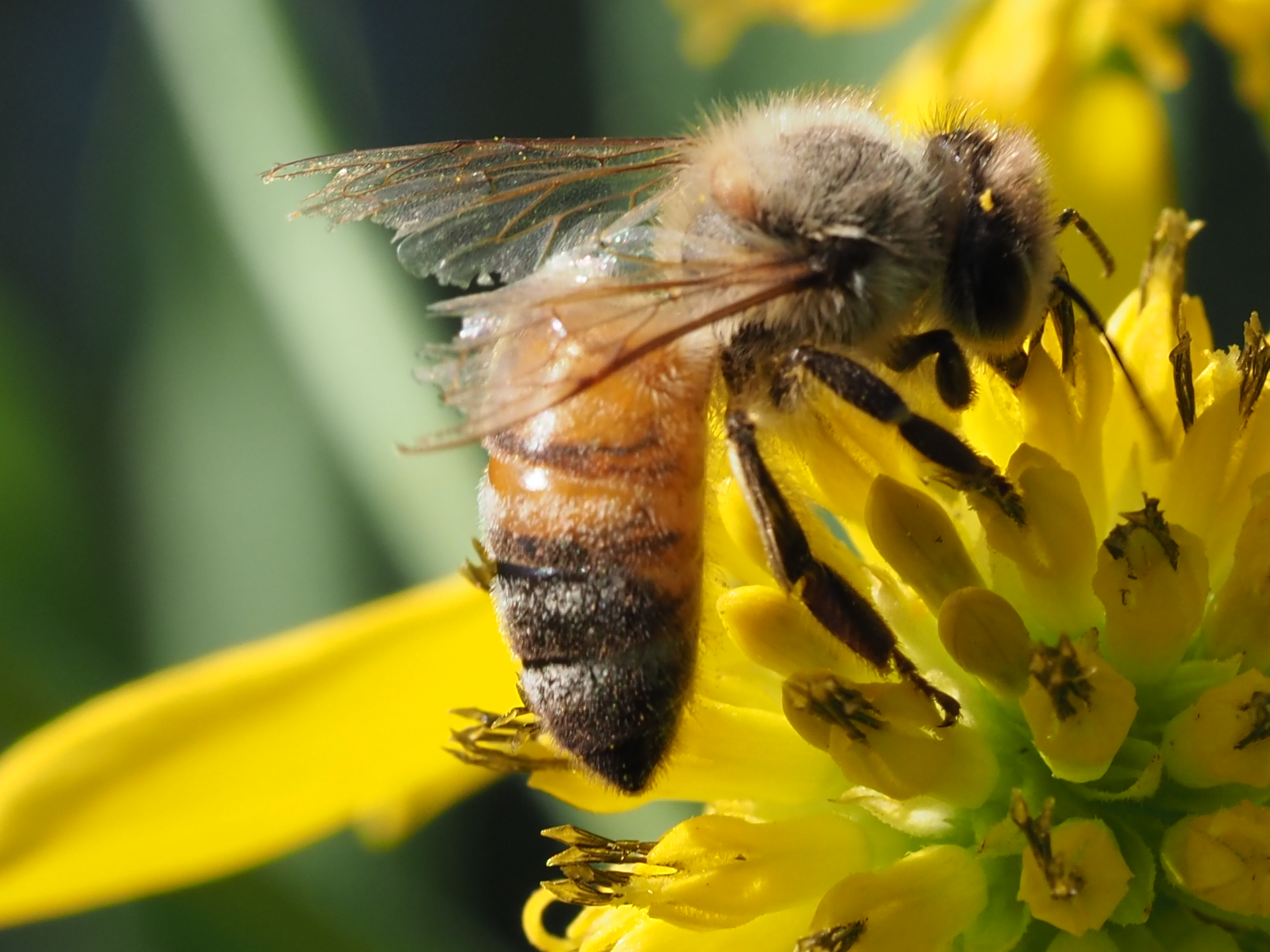 12. Photo Credit: Z. Allerton