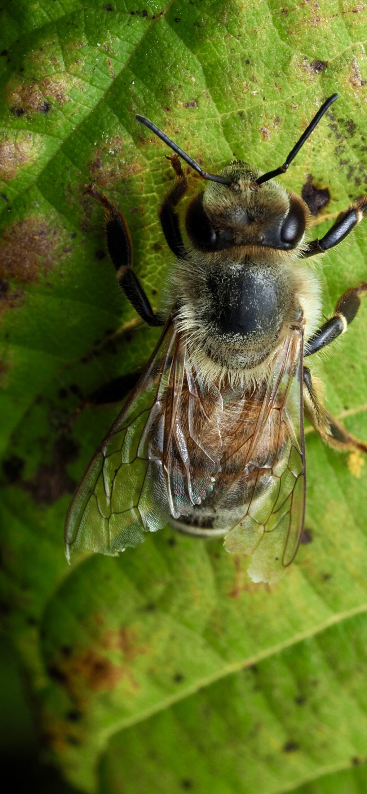 4. Photo Credit: Z. Allerton