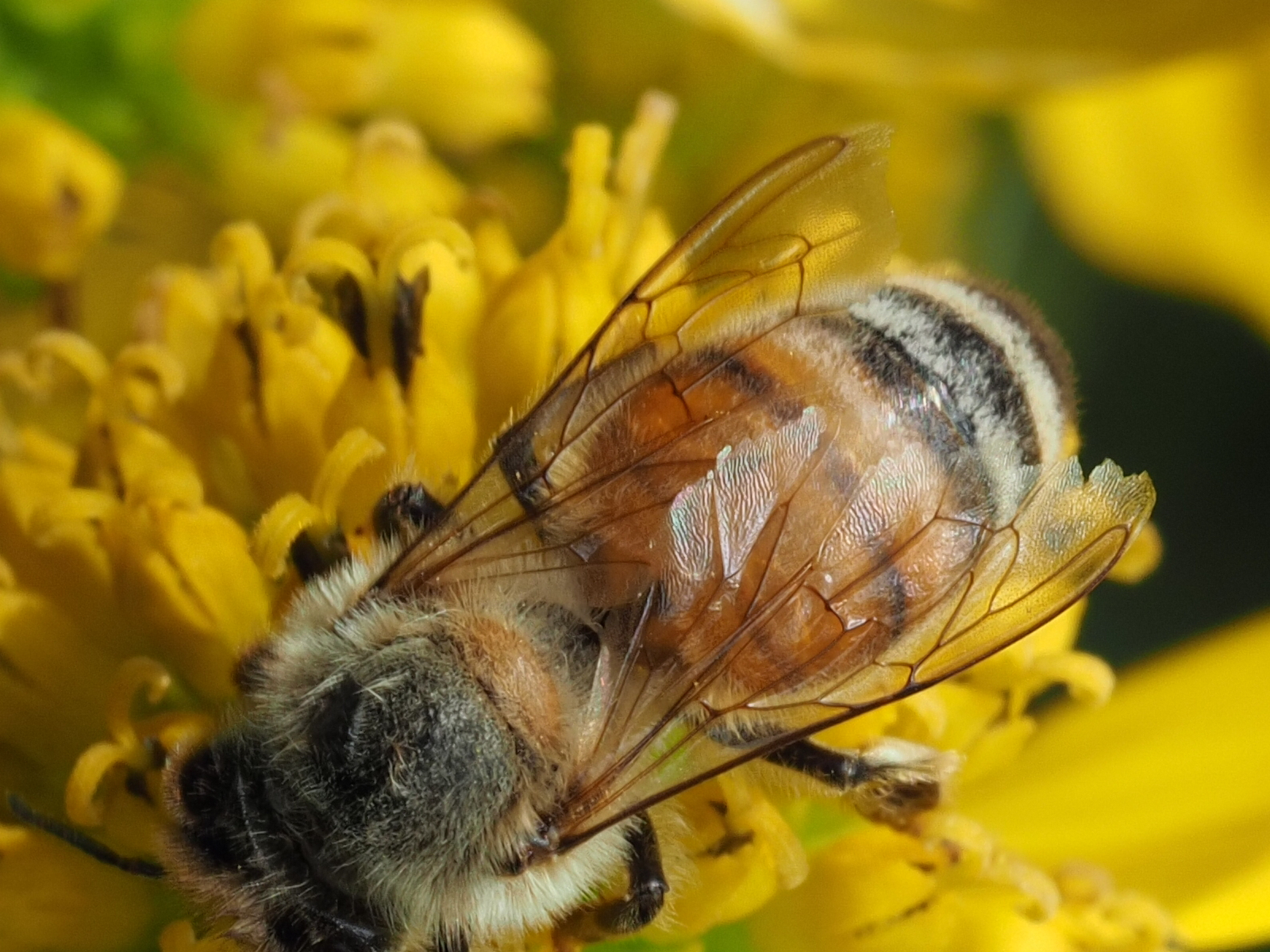 5. Photo Credit: Z. Allerton