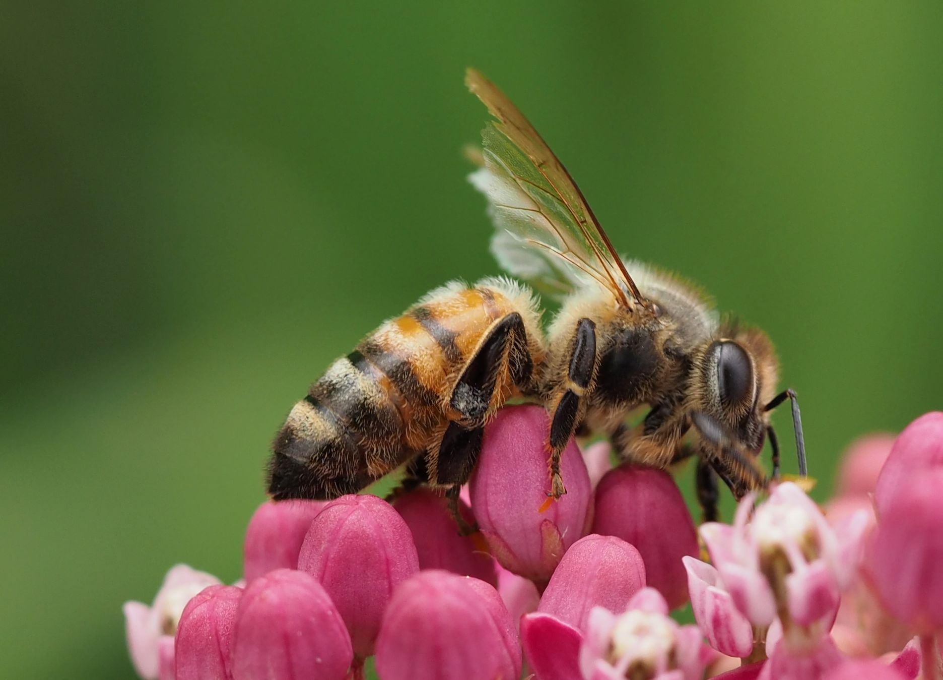 6. Photo Credit: Z. Allerton