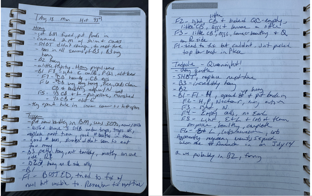 Figure 5. I am old school when it comes to note taking, using a notebook, pen, and scribbled shorthand. All my colonies are named and these are inspection notes for Honey, Tigger, and Tadpole. B1, B2, B3, etc. designate the box from the bottom up. F1, F2, etc. are frame numbers from left to right standing behind the hive. SMBT stands for small hive beetle traps, CB stands for capped brood, etc. Photo Credit: Theresa Martin