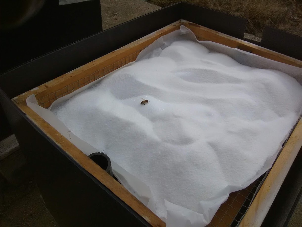 “Mountain camp” type feeding of granulated sugar provided around the first of January each year on parchment paper over half-inch hardware cloth in a previously placed spacer.
Photo Credit: Richard Wahl