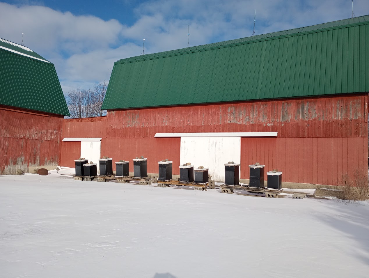 Hip roof barns on the west and north sides of my hives provide a good windbreak. Photo credit: Richard Wahl