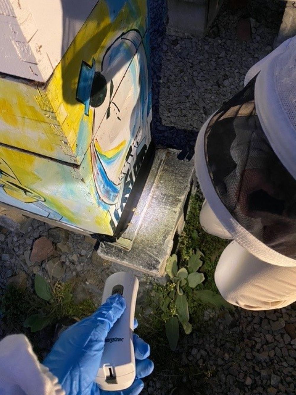 Figure 2. Close up the entrances.