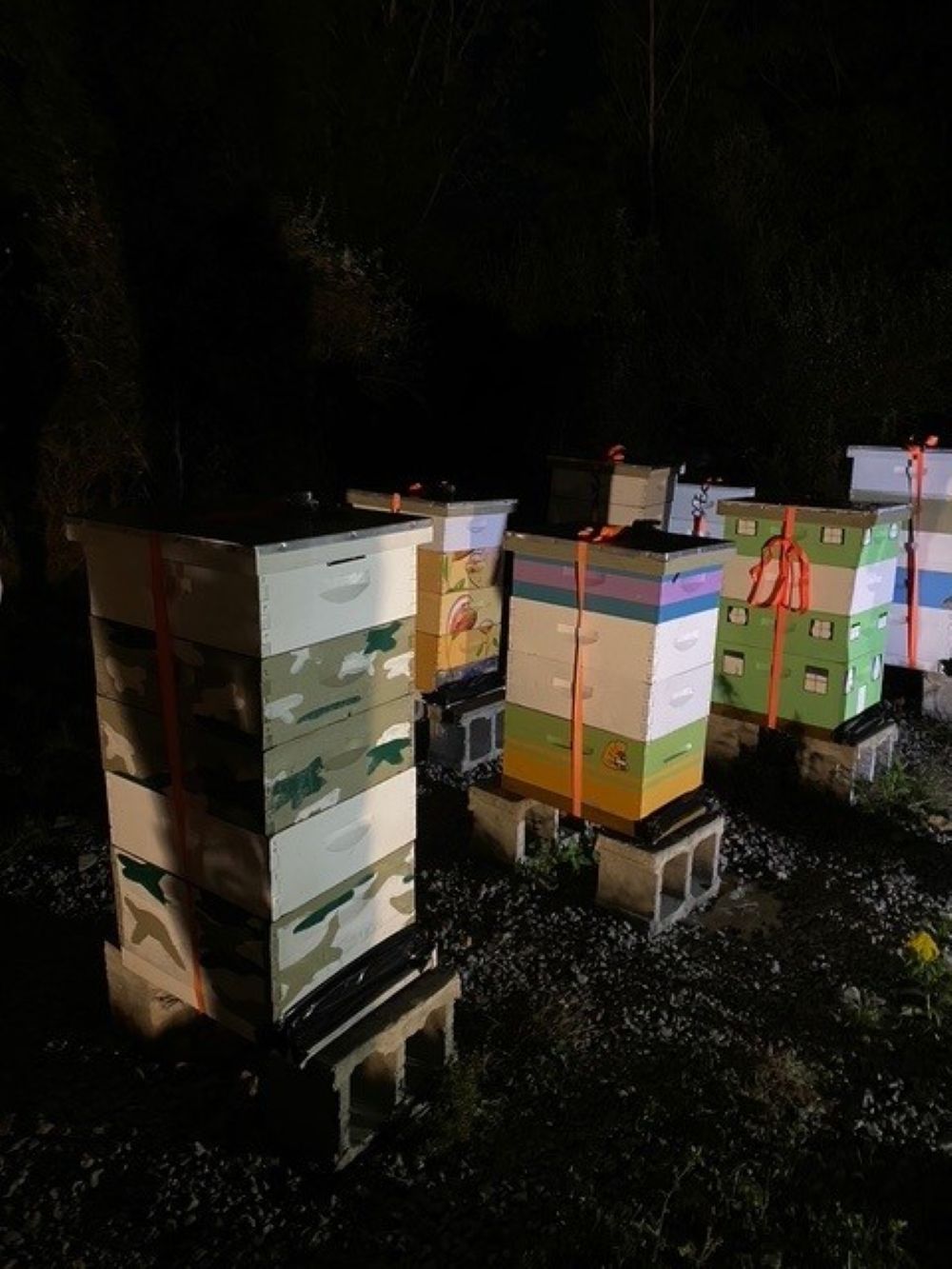 Figure 3. Rachet straps for hive security.