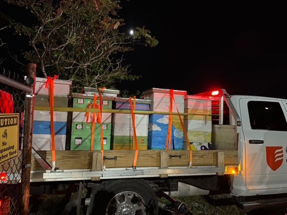 Figure 5. Hives on the truck.