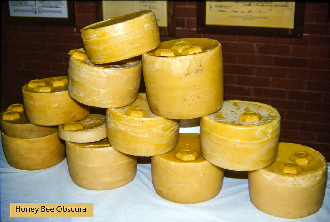 Figure 2. Cakes of rough rendered beeswax 