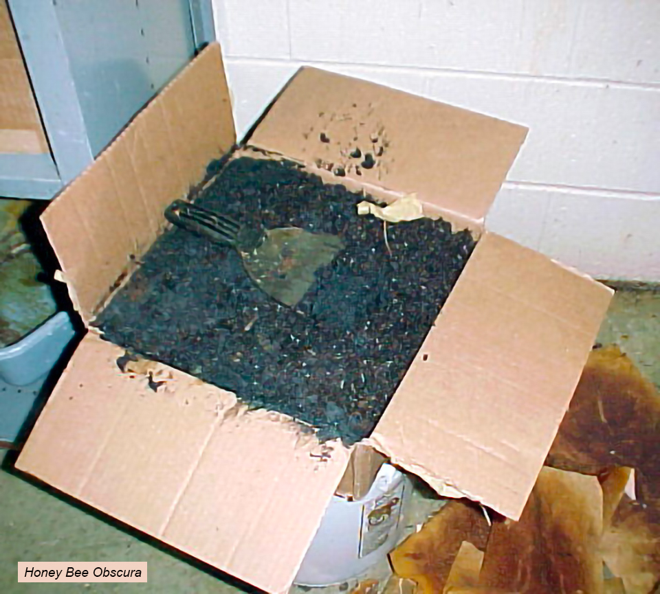 Figure 3. A box of slumgum and spent filter papers.