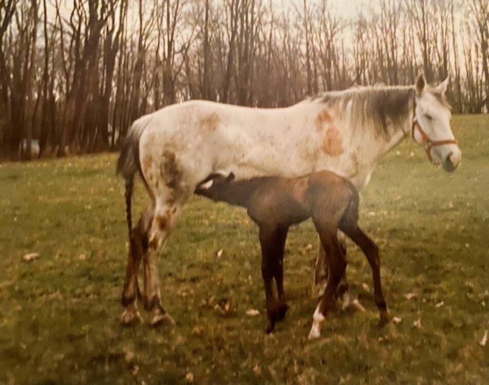 Susie and Angel soon after the birth.