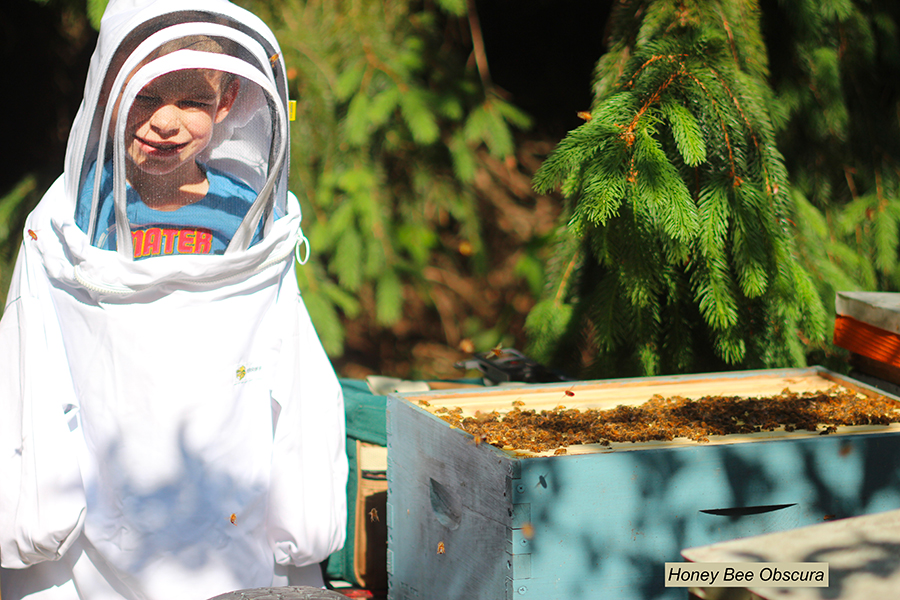 Figure 2 My grandson, Will, being introduced to honey bees