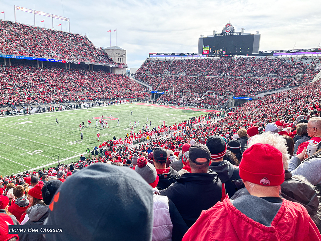 Figure 1 Within this huge crowd, some unknown number of people could become beekeepers. How to find these people is our perpetual question.