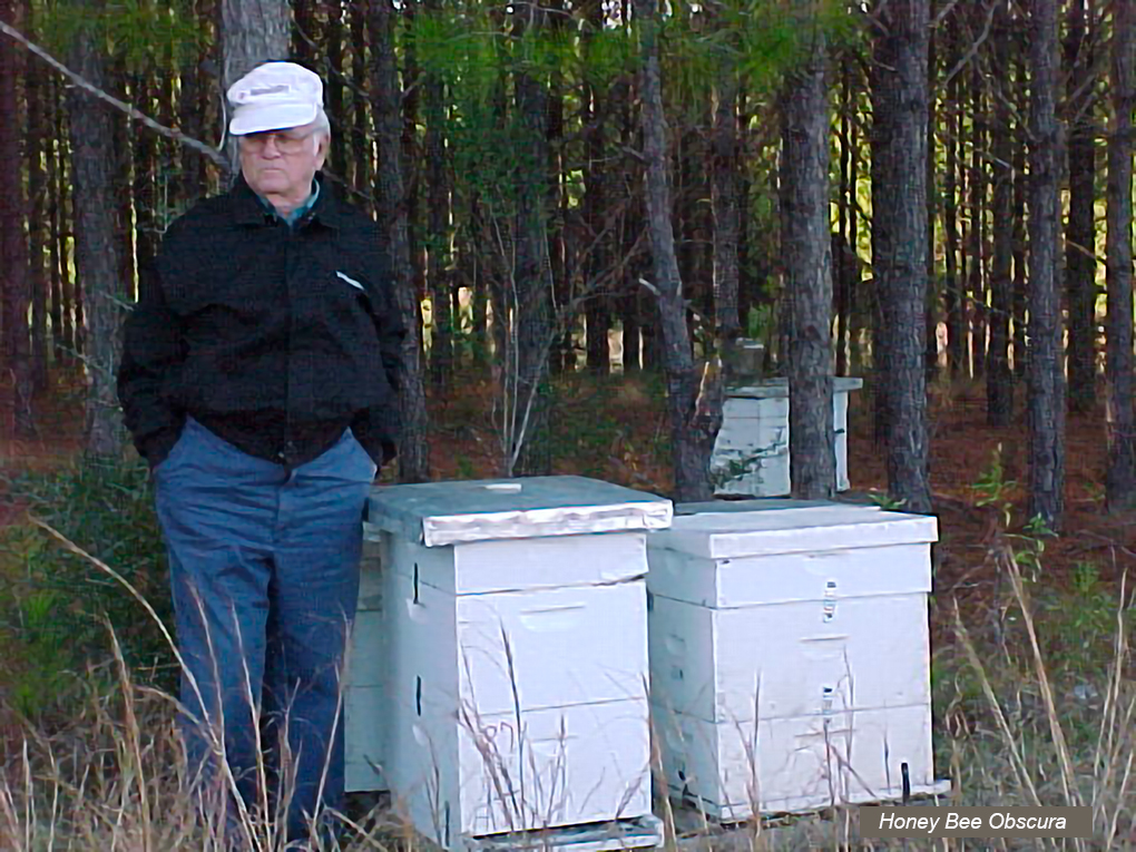 Figure 2 Dad, with a few of his 200 hives.