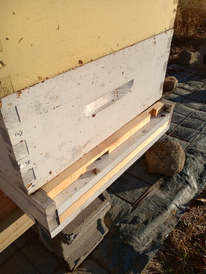 Partially inserted entrance reducer. Photo credit: Richard Wahl