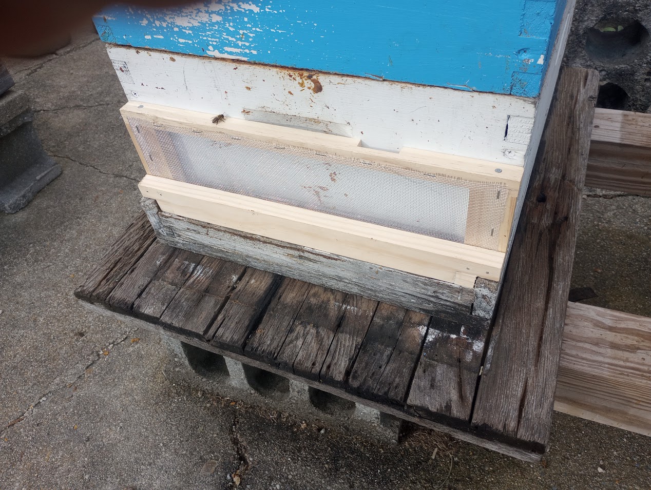 Alternate style robbing screen. Photo credit: Richard Wahl